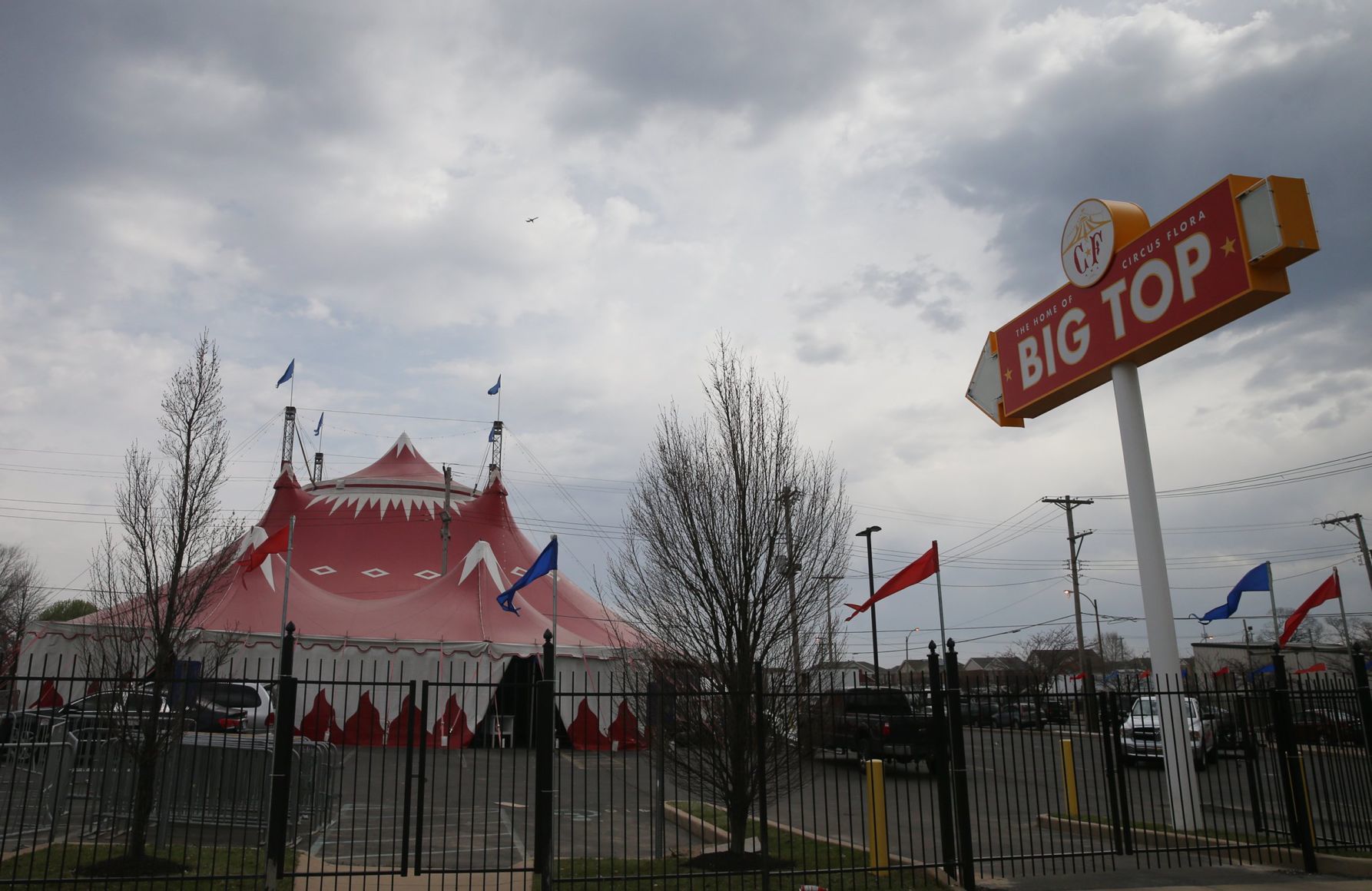 Circus Flora presents 'The Case of the Missing Bellhop'